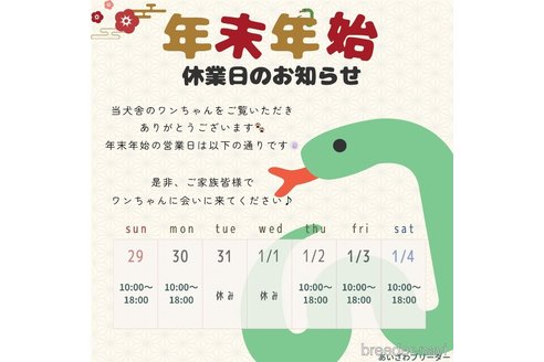 成約済の静岡県のトイプードル-354795の5枚目